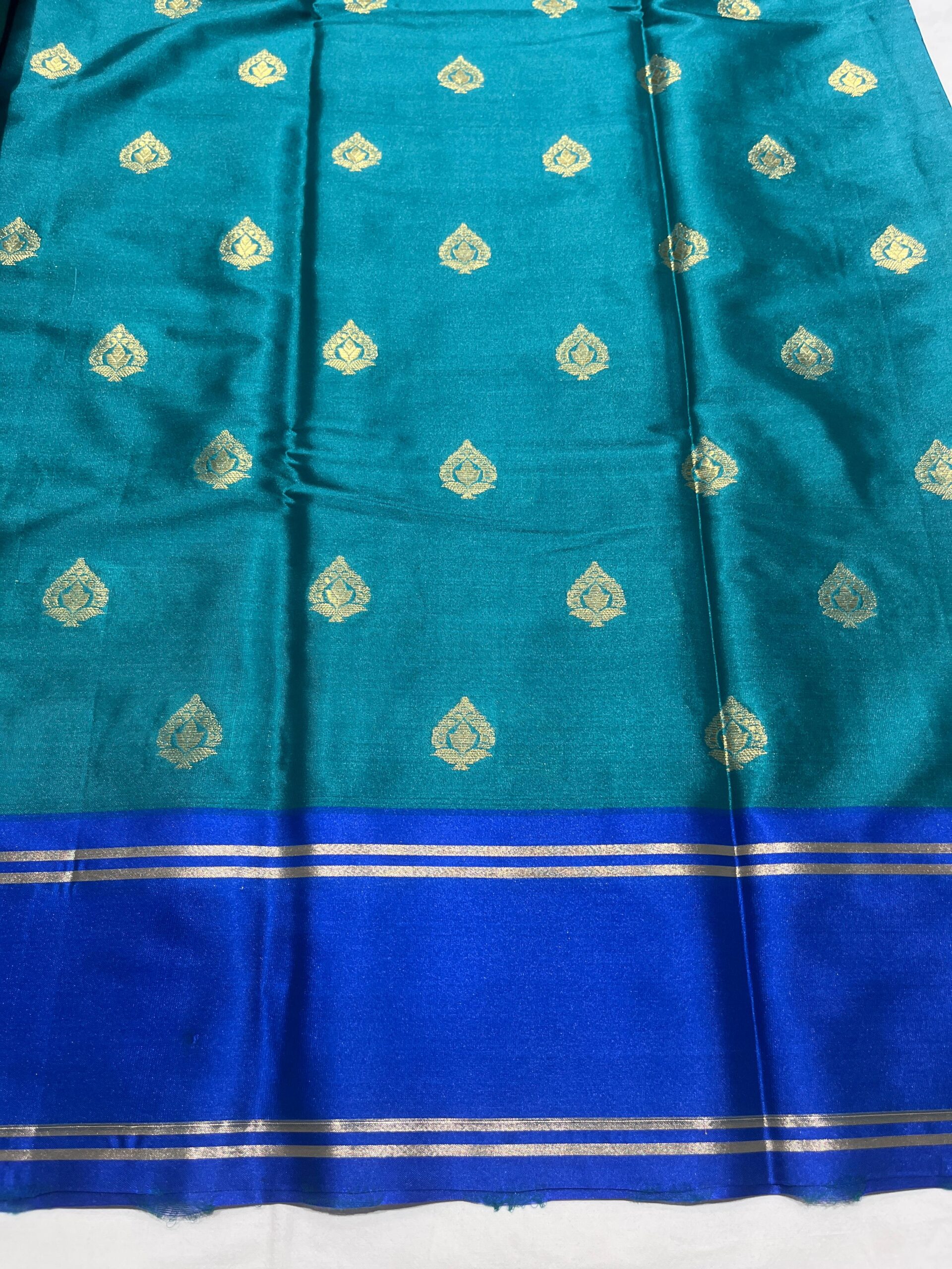 Banarasi Velvet Silk Saree – Rama Green with Royal Blue Border