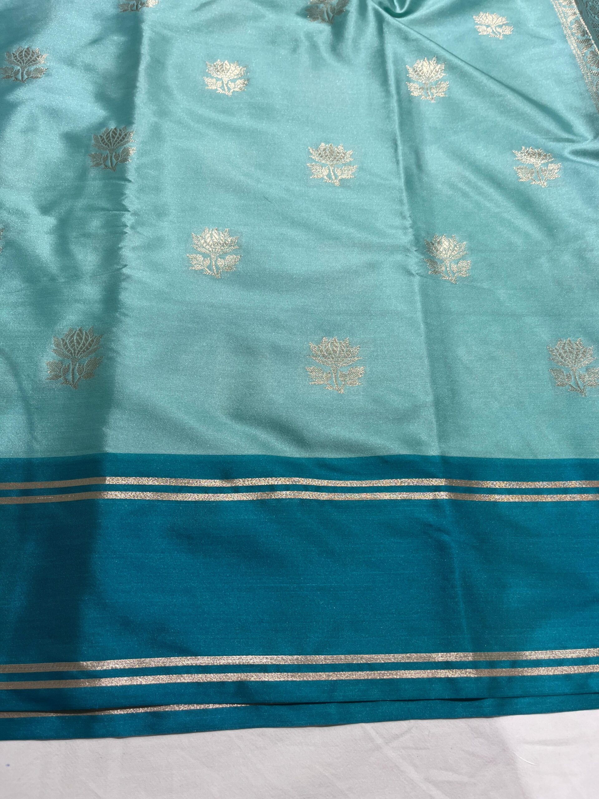 WhatsApp Image 2025-11-11 at 14.59.36 Banarasi Velvet Silk Saree — Light Sea Green with Rama Border